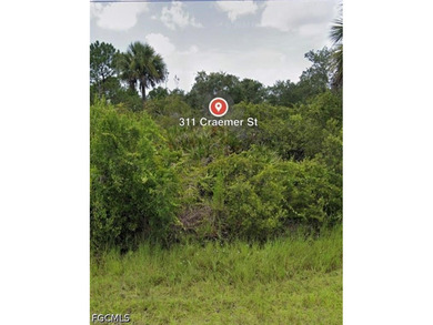 Prime opportunity to own land in rapidly growing Port Charlotte! - photo 2