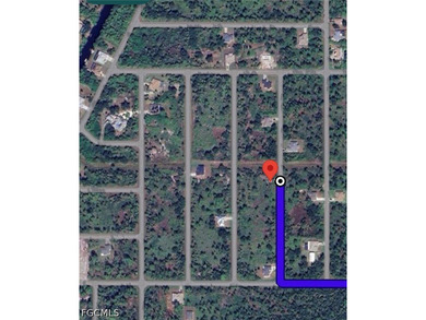Prime opportunity to own land in rapidly growing Port Charlotte! - photo 6