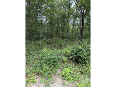 Lake Lot For Sale in Gresham, South Carolina