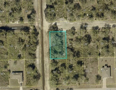 Lehigh Acres Area Lot For Sale in Lehigh Acres Florida