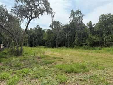 (private lake, pond, creek) Lot For Sale in Sorrento Florida