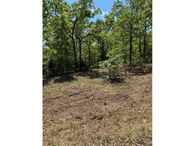 Kerr Reservoir Lot For Sale in Vian Oklahoma