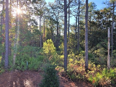 Discover a rare (3) lots & (6) homes opportunity in a peaceful - photo 22