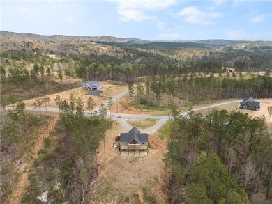 Escape to the North Georgia mountains in this custom-designed - photo 49