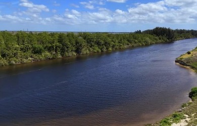 Come see this extraordinary 20+ acre waterfront property - photo 10