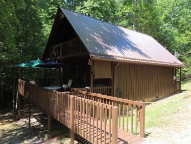 Lake Home For Sale in Wellington, Kentucky