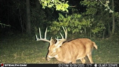 (private lake, pond, creek) Acreage For Sale in Gilmer Texas