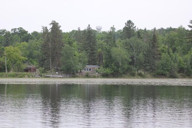 Endless Potential on Garfield Lake! Discover an exceptional - photo 11