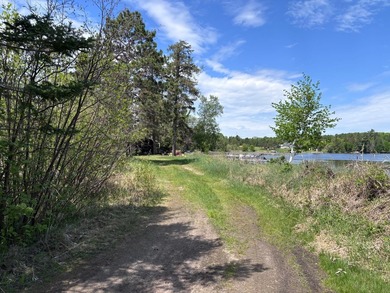 Endless Potential on Garfield Lake! Discover an exceptional - photo 19