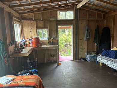 Cozy cabin in the Rain Forest of Hawaii Big Island! Located in - photo 3