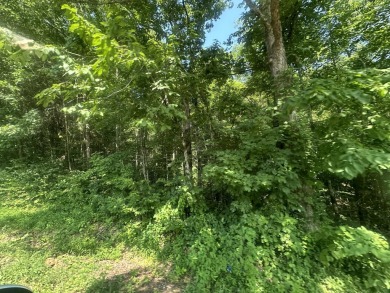 Lake Acreage For Sale in Celina, Tennessee
