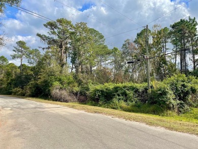 Lake Lot For Sale in Ocklawaha, Florida
