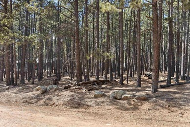 Opportunity knocks with this level, half-acre lot offering the - photo 2