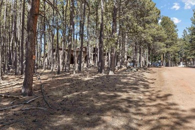 Opportunity knocks with this level, half-acre lot offering the - photo 9
