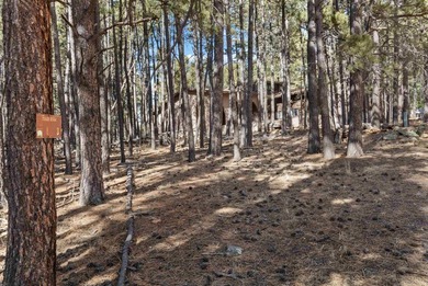 Opportunity knocks with this level, half-acre lot offering the - photo 10