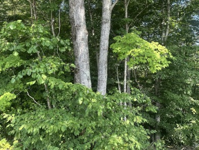 Lake Lot For Sale in Celina, Tennessee