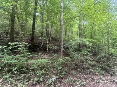 Lake Acreage For Sale in Celina, Tennessee