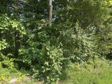 Lake Lot For Sale in Celina, Tennessee