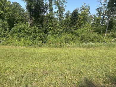 Lake Lot For Sale in Celina, Tennessee