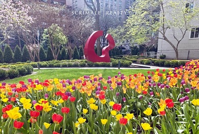 MANHATTAN HOUSE C402