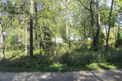 Lake Lot For Sale in Fremont, Indiana