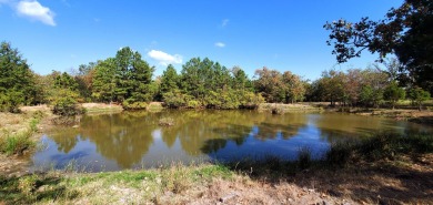 (private lake, pond, creek) Acreage For Sale in Tuskahoma Oklahoma