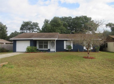 North Lake - Marion County Home For Sale in Silver Springs Florida