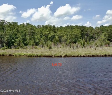 Pungo River - Beaufort County Lot Active Under Contract in Belhaven North Carolina