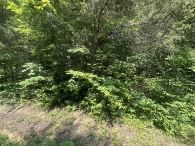 Lake Lot For Sale in Celina, Tennessee