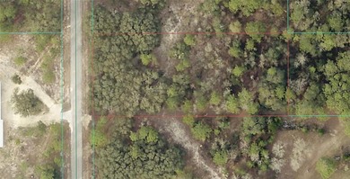 Bonable Lake Lot For Sale in Dunnellon Florida