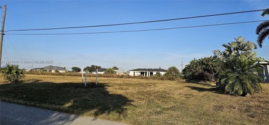 Build your dream home on this spacious lot located in a rapidly - photo 3