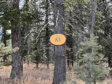 Lake Acreage For Sale in Angel Fire, New Mexico