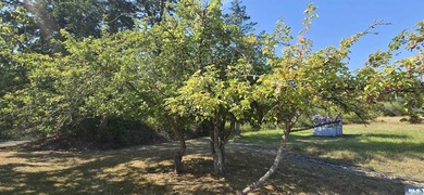 Charming 5-Acre South-Facing Country Retreat in Sequim. Welcome - photo 13