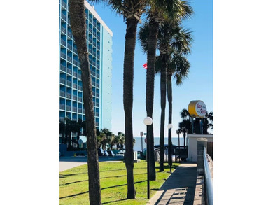 1600 S Ocean Blvd Unit 322 offers the perfect Myrtle Beach - photo 4