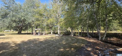 Charming 5-Acre South-Facing Country Retreat in Sequim. Welcome - photo 33