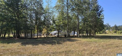 Charming 5-Acre South-Facing Country Retreat in Sequim. Welcome - photo 38