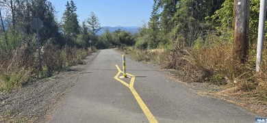 Charming 5-Acre South-Facing Country Retreat in Sequim. Welcome - photo 41
