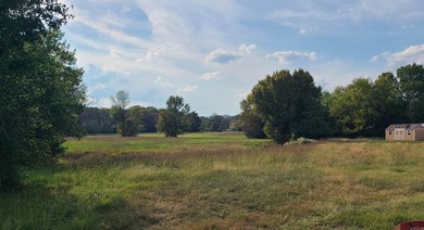 Tract B offers 11.06+ level acres and approximately 375 feet of - photo 2