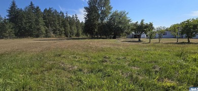 Charming 5-Acre South-Facing Country Retreat in Sequim. Welcome - photo 45