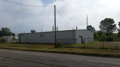 Paw Paw River Commercial For Sale in Benton Harbor Michigan