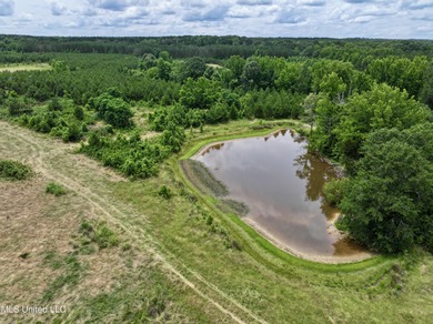 (private lake, pond, creek) Acreage For Sale in Goodman Mississippi