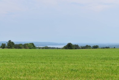 (private lake, pond, creek) Acreage For Sale in Ashville New York