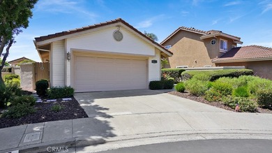 27469 Paseo Mimosa - photo 42