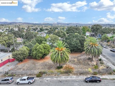 Lot 1 of 3 totaling 13,000 square feet! Don't miss this rare - photo 6