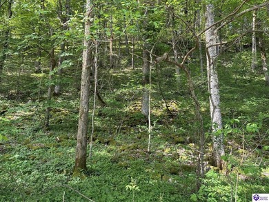 Looking for a spot to build your dream home or recreational - photo 18