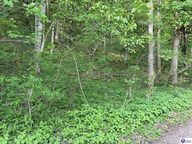 Looking for a spot to build your dream home or recreational - photo 23
