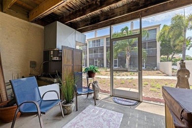 Tucked within one of Tierra Verde's most desirable waterfront - photo 33