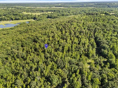 Enjoy peaceful country living just minutes from town on this - photo 4