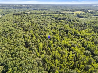 Enjoy peaceful country living just minutes from town on this - photo 5