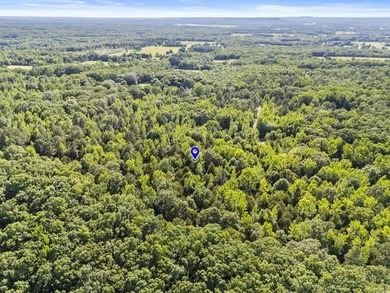 Enjoy peaceful country living just minutes from town on this - photo 6